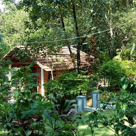 Leisure Vacations Whispering Woods Hotel Madikeri Exterior foto