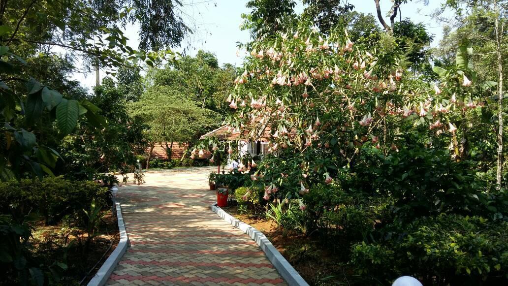 Leisure Vacations Whispering Woods Hotel Madikeri Exterior foto