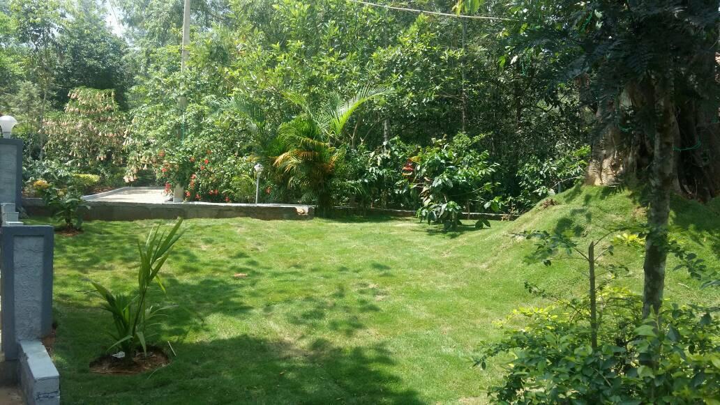 Leisure Vacations Whispering Woods Hotel Madikeri Exterior foto